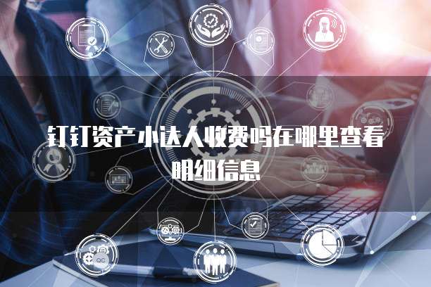 钉钉资产小达人收费吗在哪里查看明细信息