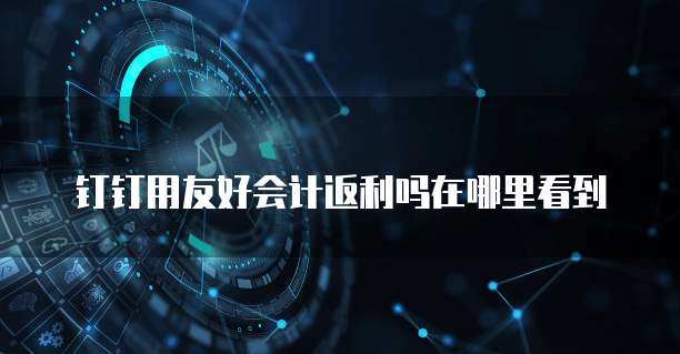 钉钉用友好会计返利吗在哪里看到