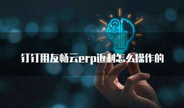 钉钉用友畅云erp返利怎么操作的