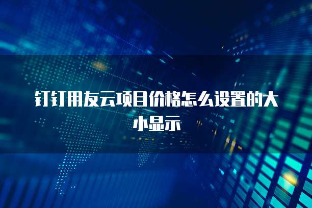 钉钉用友云项目价格怎么设置的大小显示