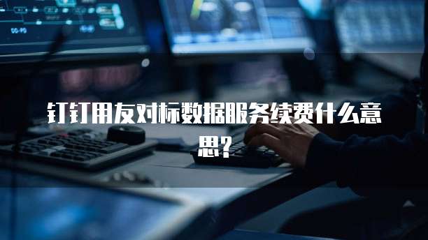 钉钉用友对标数据服务续费什么意思?
