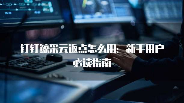 钉钉鲸采云返点怎么用:新手用户必读指南