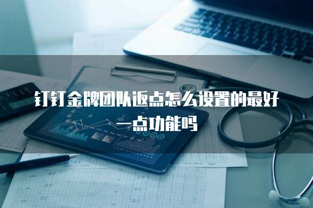 钉钉金牌团队返点怎么设置的最好一点功能吗