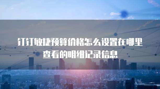 钉钉敏捷预算价格怎么设置在哪里查看的明细记录信息