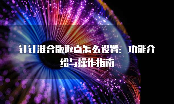 钉钉混合版返点怎么设置：功能介绍与操作指南
