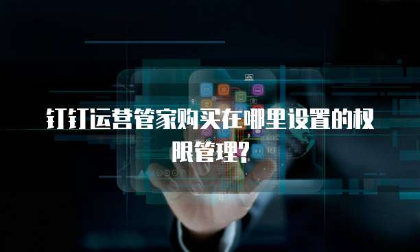 钉钉运营管家购买在哪里设置的权限管理?