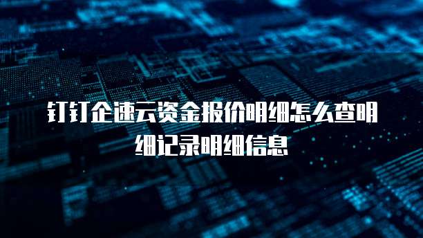 钉钉企速云资金报价明细怎么查明细记录明细信息