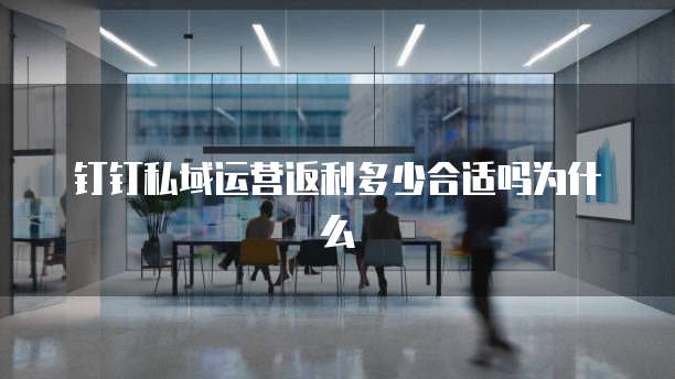 钉钉私域运营返利多少合适吗为什么