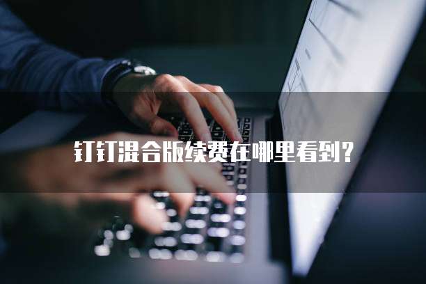 钉钉混合版续费在哪里看到?