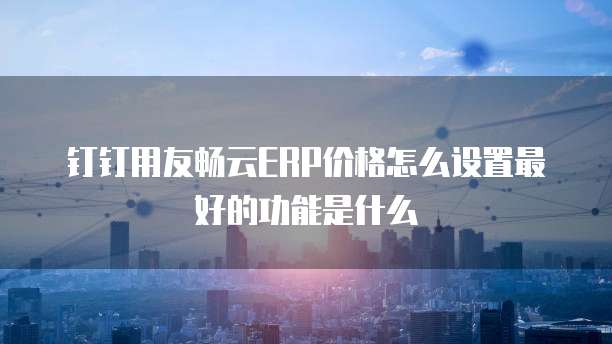 钉钉用友畅云ERP价格怎么设置最好的功能是什么