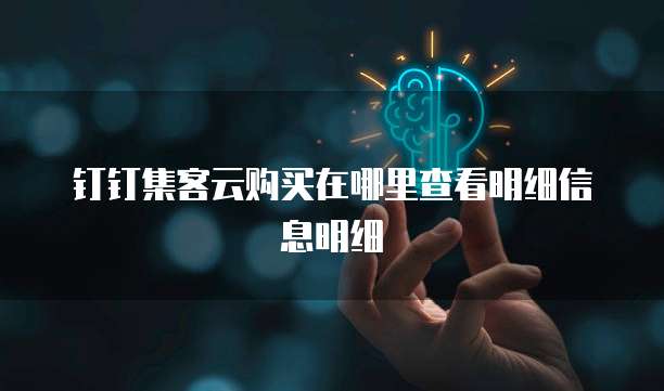 钉钉集客云购买在哪里查看明细信息明细