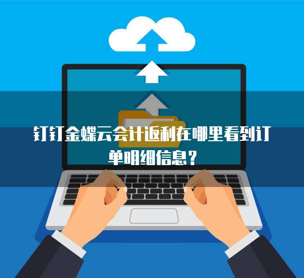 钉钉金蝶云会计返利在哪里看到订单明细信息?