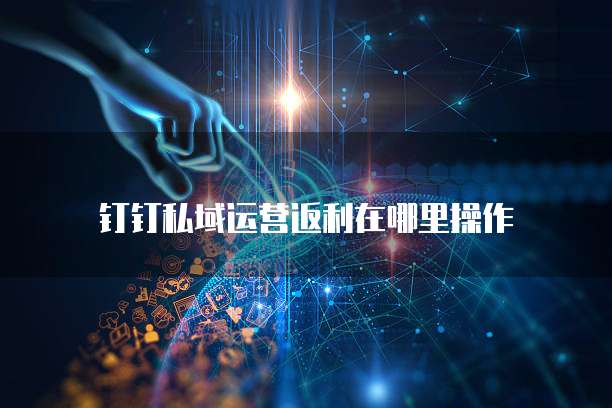 钉钉私域运营返利在哪里操作
