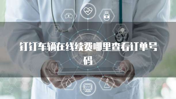 钉钉车辆在线续费哪里查看订单号码