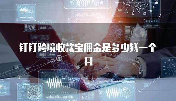 钉钉跨境收款宝佣金是多少钱一个月