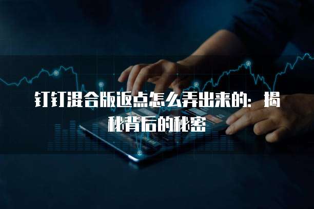 钉钉混合版返点怎么弄出来的：揭秘背后的秘密