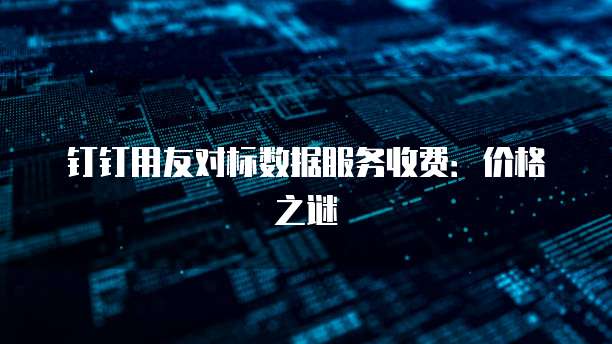 钉钉用友对标数据服务收费：价格之谜