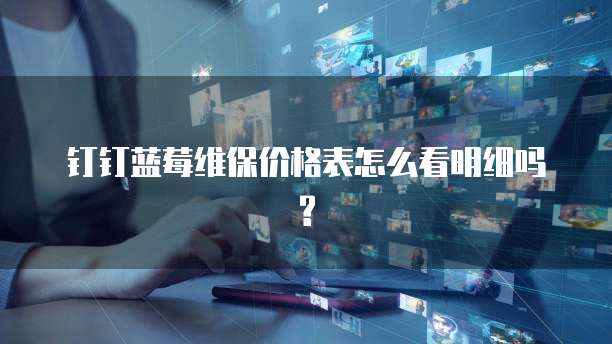 钉钉蓝莓维保价格表怎么看明细吗?