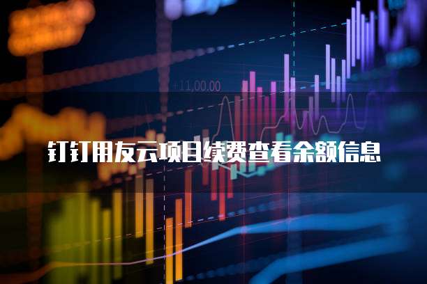 钉钉用友云项目续费查看余额信息