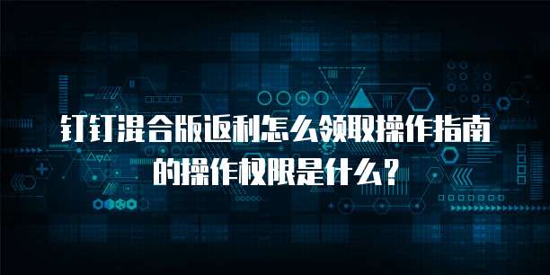 钉钉混合版返利怎么领取操作指南的操作权限是什么？