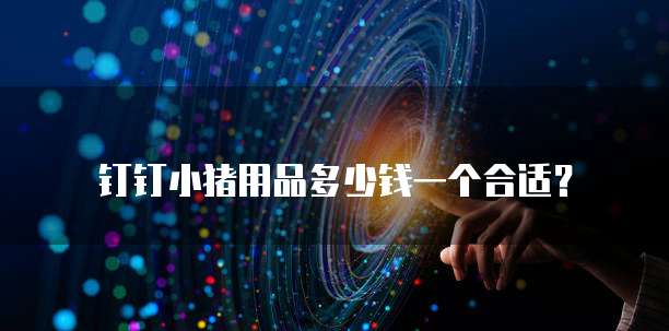 钉钉小猪用品多少钱一个合适?