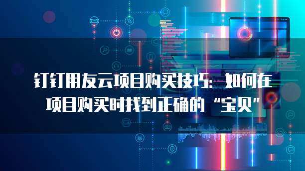 钉钉用友云项目购买技巧:如何在项目购买时找到正确的“宝贝”