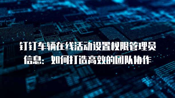 钉钉车辆在线活动设置权限管理员信息:如何打造高效的团队协作