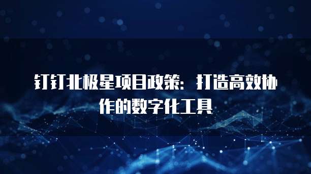 钉钉北极星项目政策：打造高效协作的数字化工具