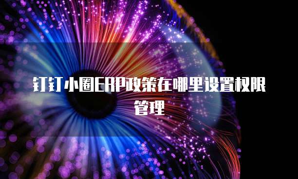 钉钉小圈ERP政策在哪里设置权限管理