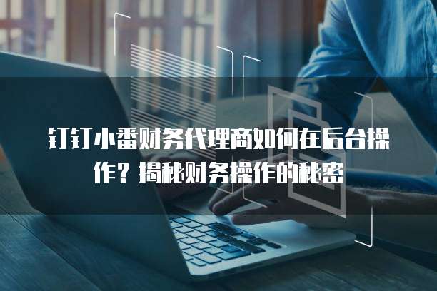 钉钉小番财务代理商如何在后台操作?揭秘财务操作的秘密