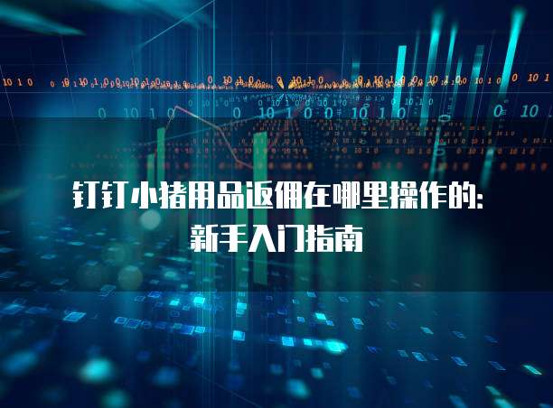 钉钉小猪用品返佣在哪里操作的:新手入门指南
