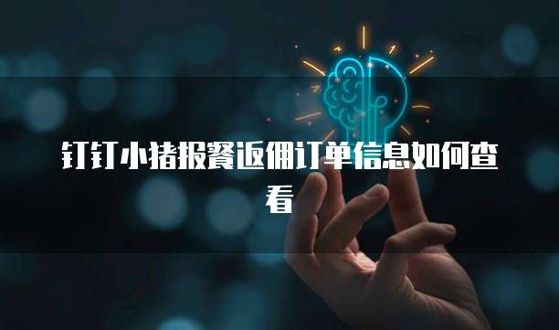 钉钉小猪报餐返佣订单信息如何查看