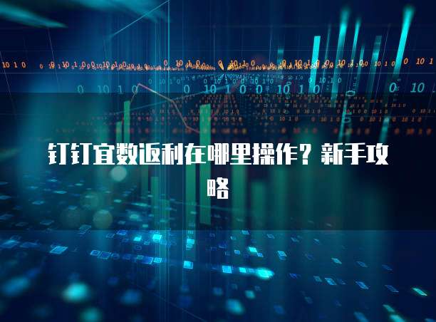 钉钉宜数返利在哪里操作?新手攻略