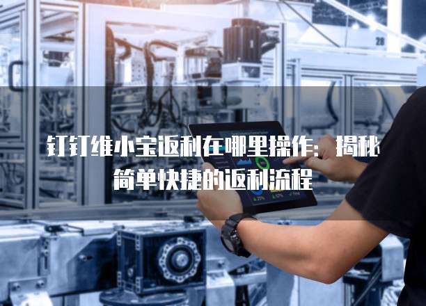 钉钉维小宝返利在哪里操作：揭秘简单快捷的返利流程