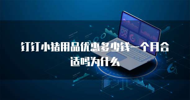 钉钉小猪用品优惠多少钱一个月合适吗为什么