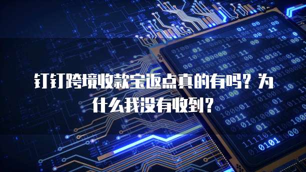钉钉跨境收款宝返点真的有吗?为什么我没有收到?