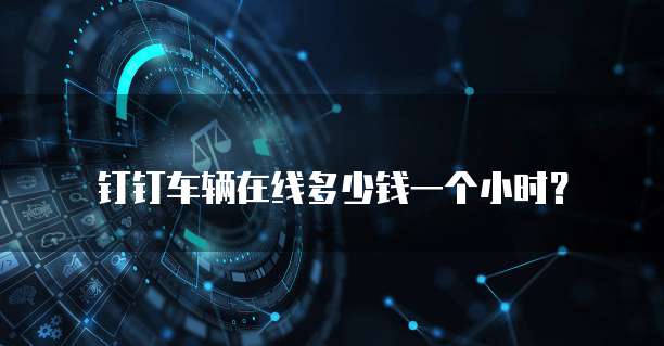 钉钉车辆在线多少钱一个小时?
