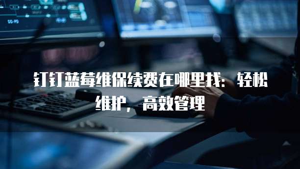 钉钉蓝莓维保续费在哪里找:轻松维护,高效管理