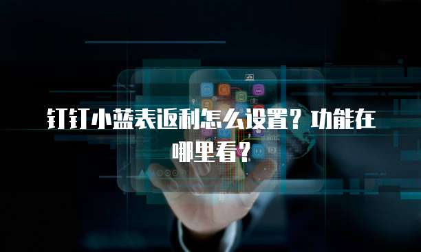 钉钉小蓝表返利怎么设置？功能在哪里看？