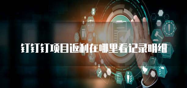 钉钉钉项目返利在哪里看记录明细