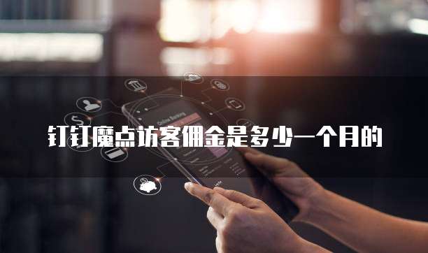 钉钉魔点访客佣金是多少一个月的