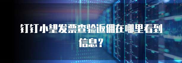 钉钉小望发票查验返佣在哪里看到信息?