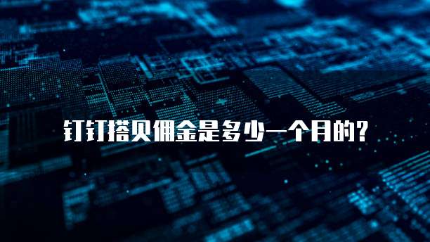 钉钉搭贝佣金是多少一个月的？
