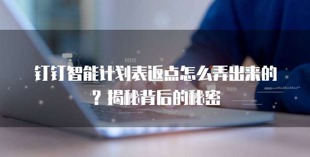 钉钉智能计划表返点怎么弄出来的?揭秘背后的秘密