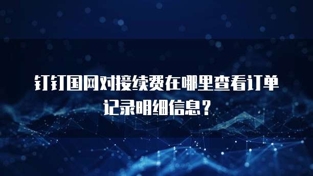 钉钉国网对接续费在哪里查看订单记录明细信息?