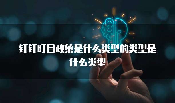 钉钉盯目政策是什么类型的类型是什么类型