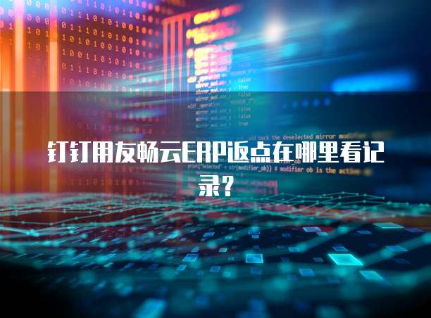 钉钉用友畅云ERP返点在哪里看记录？