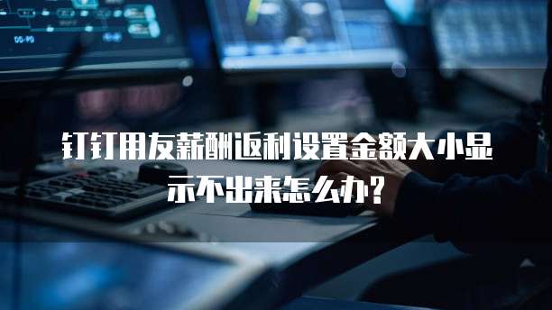 钉钉用友薪酬返利设置金额大小显示不出来怎么办?