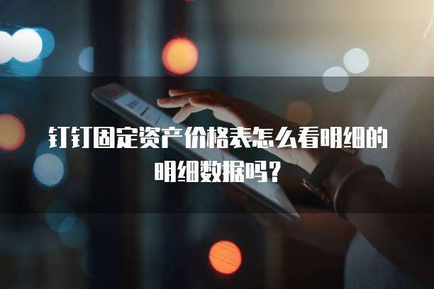 钉钉固定资产价格表怎么看明细的明细数据吗?