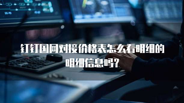 钉钉国网对接价格表怎么看明细的明细信息吗?